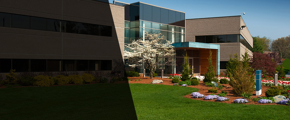 North Street Landscapers