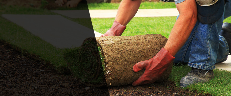 North Street Landscapers